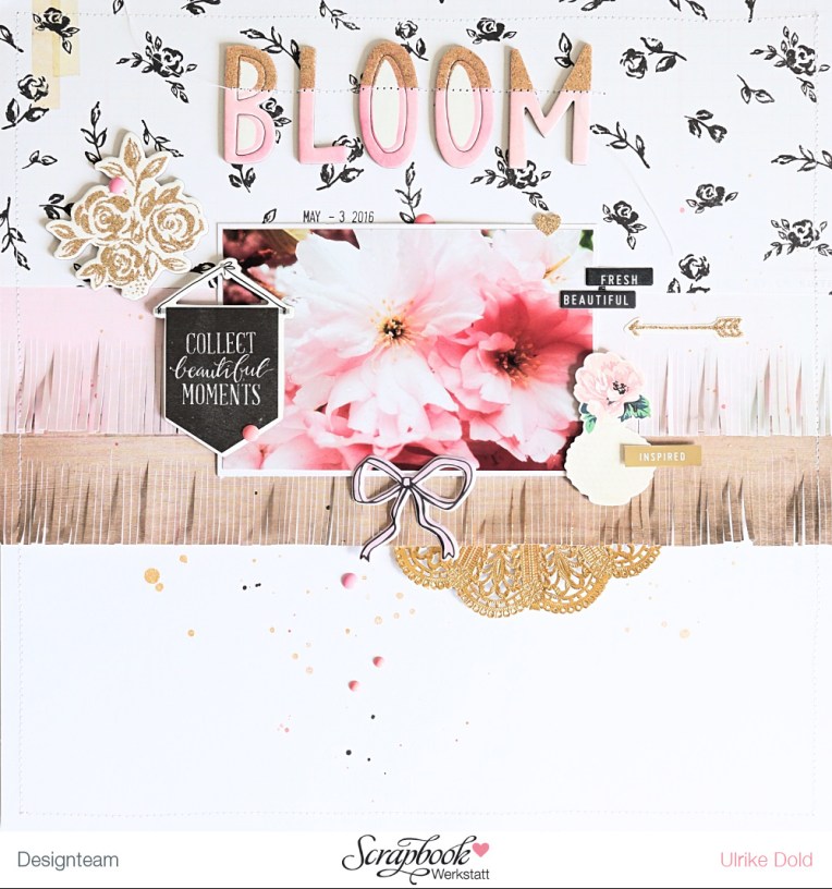 Bloom DT
