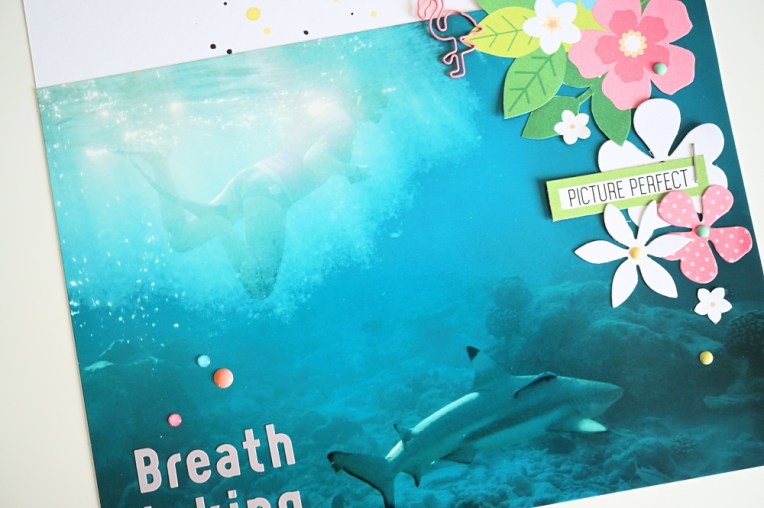 DSC02613_Fotor_Fotor