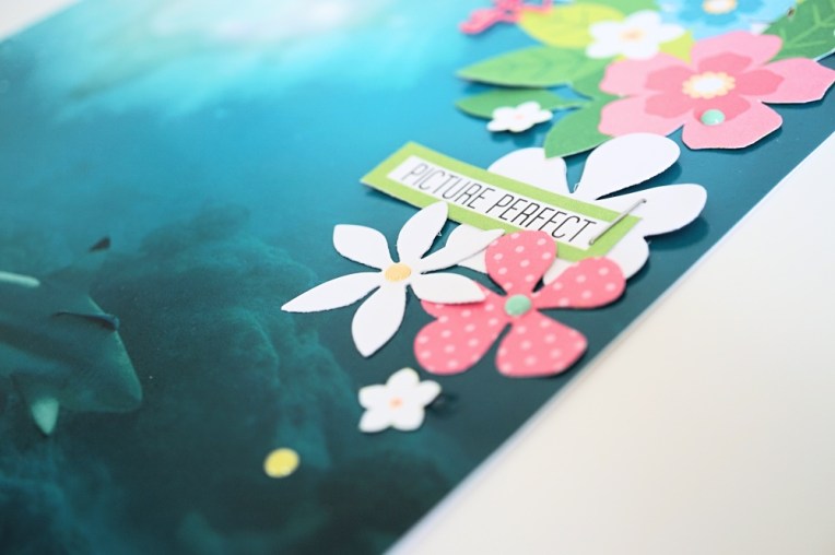 DSC02617_Fotor_Fotor