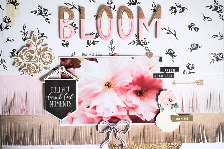 DSC02748_Fotor_Fotor