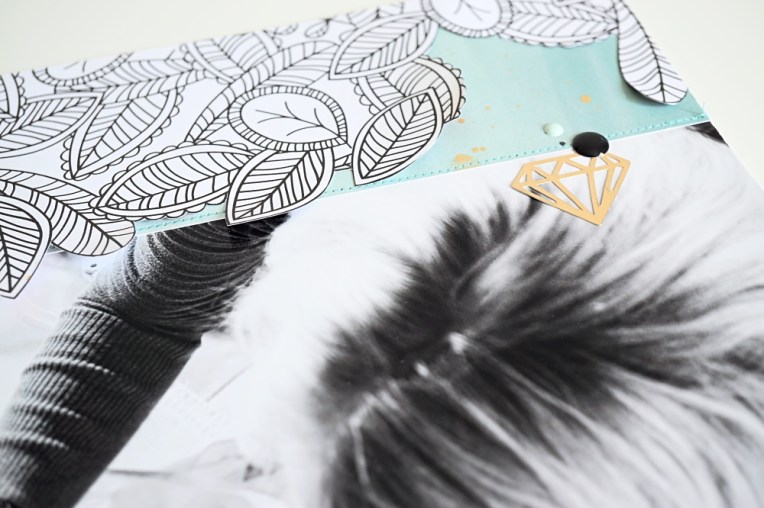 DSC03144_Fotor_Fotor