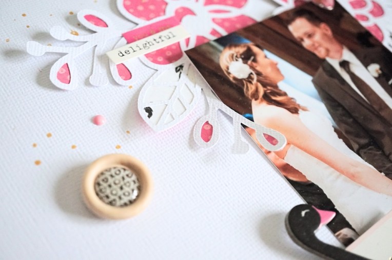 dsc05229_fotor_fotor1000