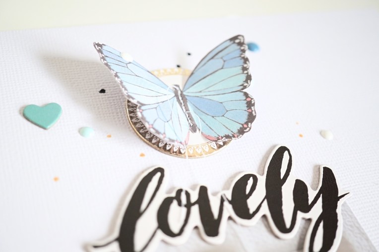 dsc05344_fotor_fotor1000