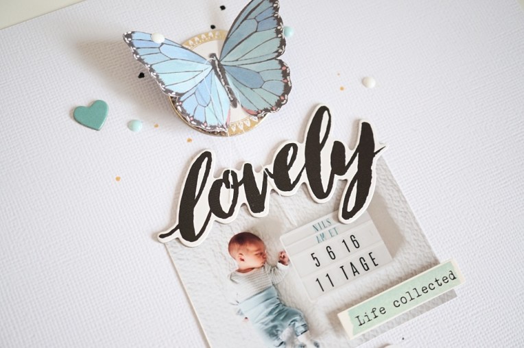 dsc05356_fotor_fotor1000