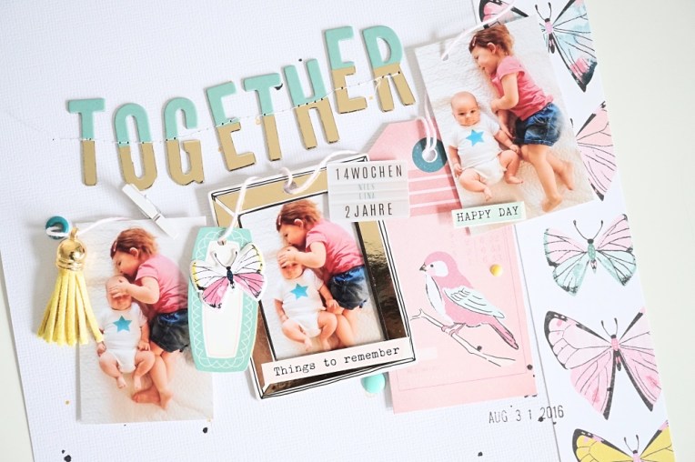 dsc05501_fotor_fotor1000