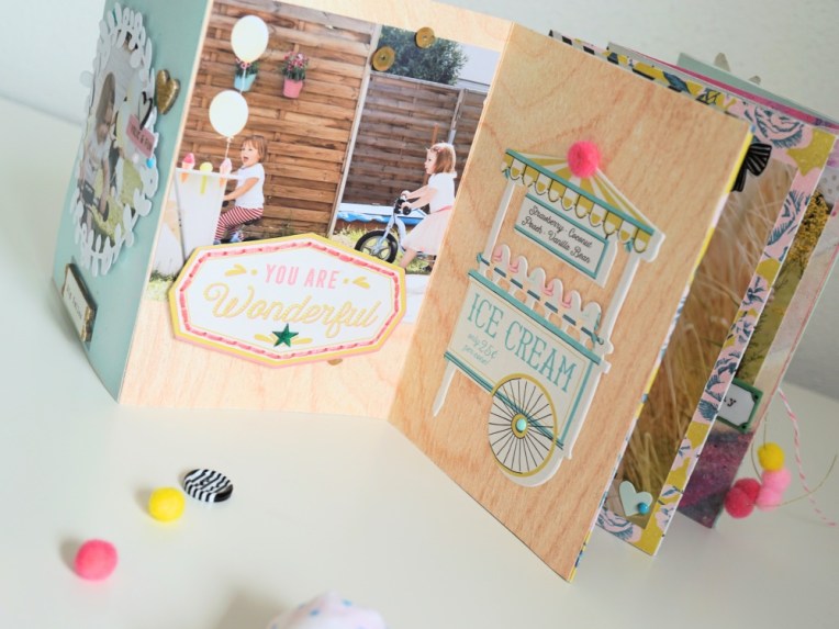 DSC09514_Fotor_Fotor1000